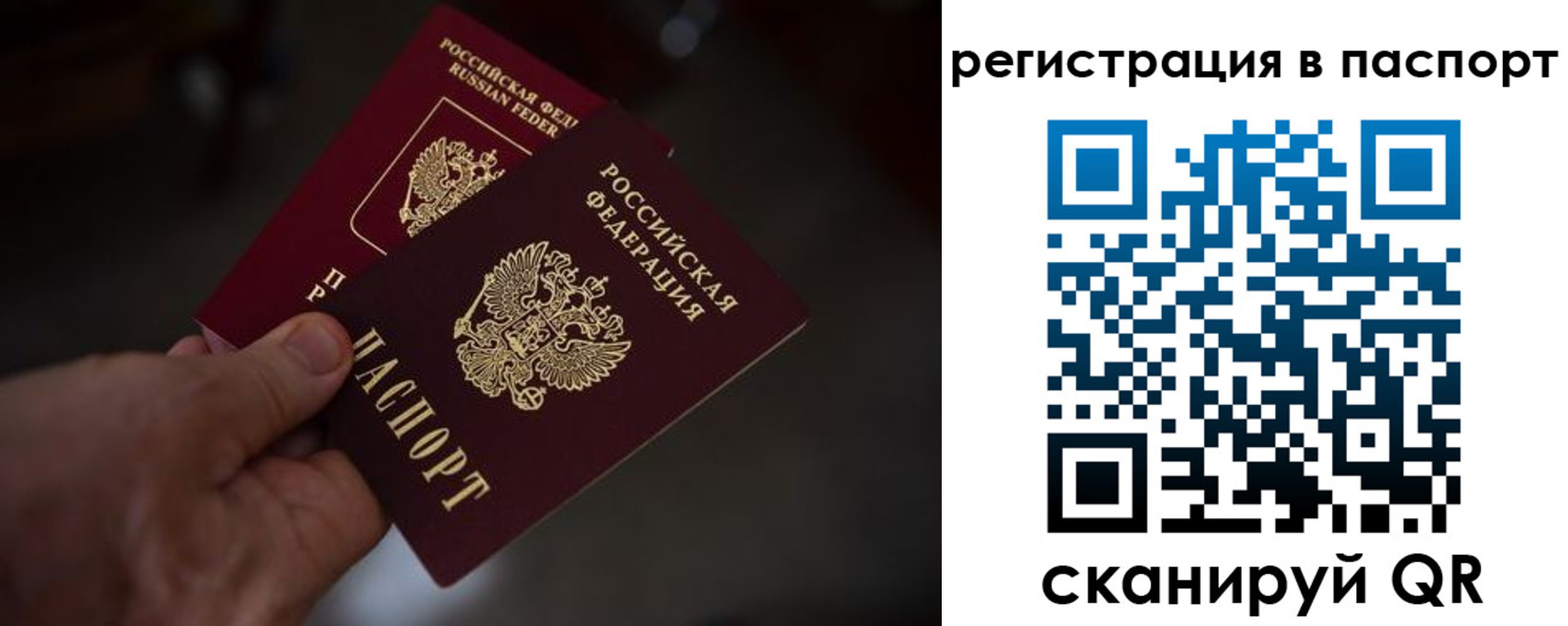 пропишу в квартире в Геленджике